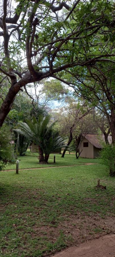 Shumba Safari Bush Camp Villa โฮดสปรูท ภายนอก รูปภาพ